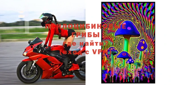 меф Пересвет