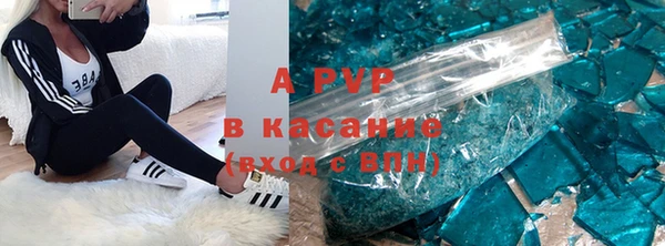 гидра Арсеньев