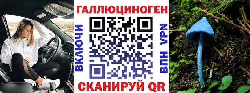 MEGA ТОР  наркота  Фрязино  Галлюциногенные грибы Psilocybine cubensis 