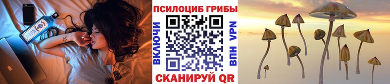 Галлюциногенные грибы прущие грибы Фрязино
